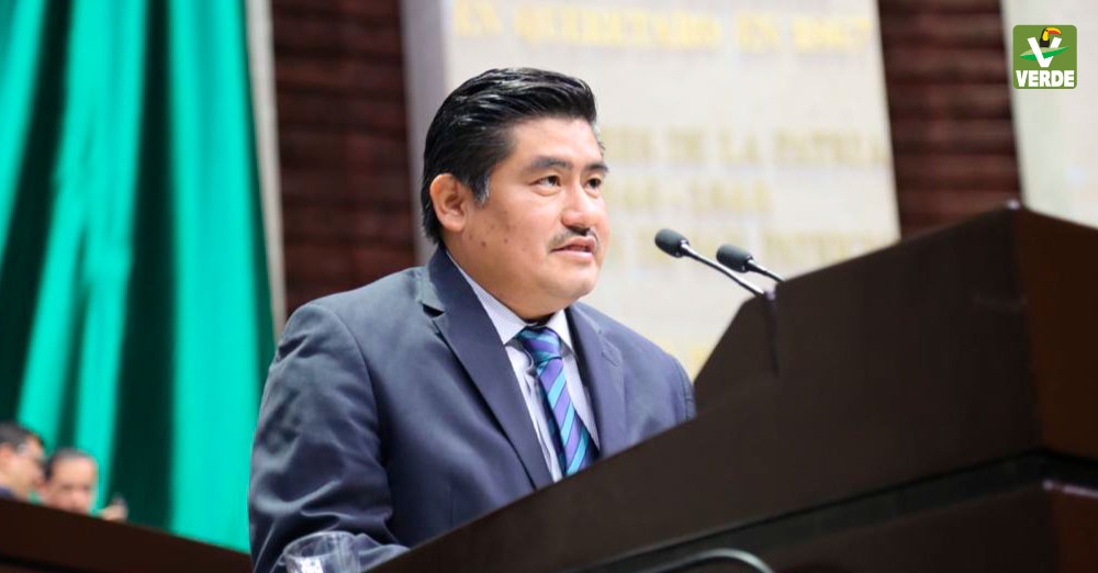 Diputado Rogelio Rayo