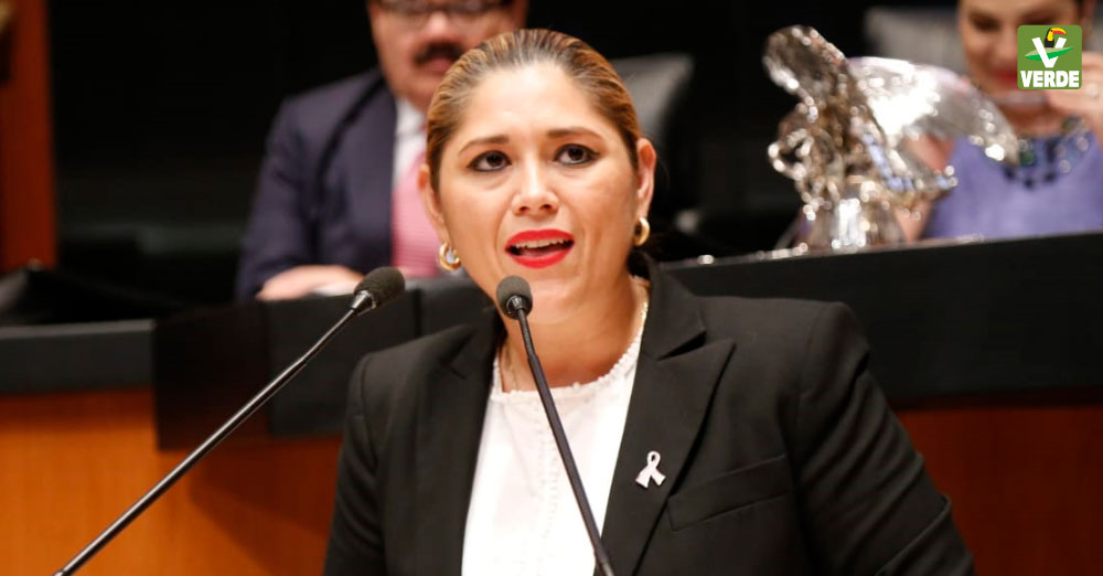Senadora Veronica Camino