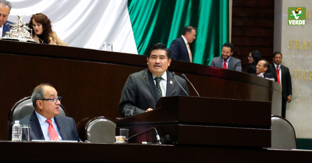 Diputado Rogelio Rayo