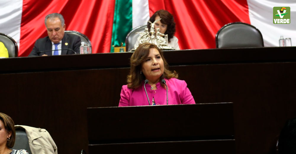 Diputada Beatriz Manrique