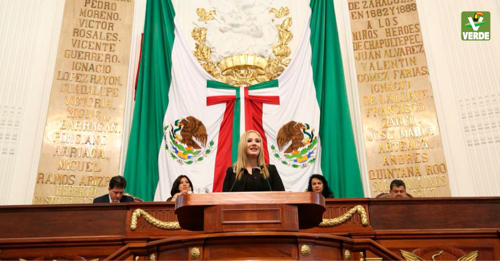 Diputada Teresa Ramos